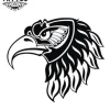 tatouage-ephemere-aigle-majestueux-motif-realiste-image-produit
