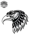 tatouage-ephemere-aigle-majestueux-motif-realiste-image-produit