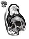 tatouage ephemere aigle tete de mort style indomptable tatouage ephemere aigle tete de mort style indomptable