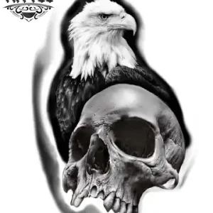 tatouage ephemere aigle tete de mort style indomptable tatouage ephemere aigle tete de mort style indomptable