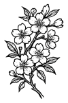 Tatouage cerisier japonais intégral