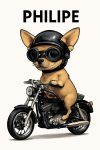 Tatouage Chihuahua Biker Harley Philipe tatouage-chihuahua-biker-harley-philipe
