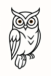 Tatouage Chouette Élégante Minimaliste Tatouage Chouette Élégante Minimaliste