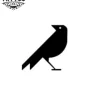 tatouage ephemere corbeau minimaliste design temporary tattoo image tatouage ephemere corbeau minimaliste design temporary tattoo image