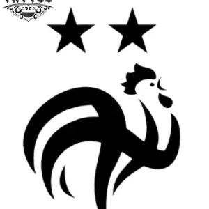 tatouage-ephemere-etoile-double-design-trendy tatouage-ephemere-etoile-double-design-trendy