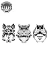 tatouage-ephemere-hiboux-3-designs-temporaires