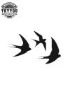 tatouage-éphémère-oiseau-trio-3-pièces-tatouage-oiseau tatouage-éphémère-oiseau-trio-3-pièces-tatouage-oiseau