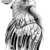 tatouage-ephemere-aigle-design-ailes-majestueuses-tatouage-aigle tatouage-ephemere-aigle-design-ailes-majestueuses-tatouage-aigle