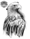 tatouage-ephemere-aigle-design-ailes-majestueuses-tatouage-aigle tatouage-ephemere-aigle-design-ailes-majestueuses-tatouage-aigle