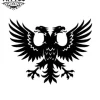tatouage-aigle-ephemere-a-deux-tetes-image-alt tatouage-aigle-ephemere-a-deux-tetes-image-alt