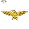 tatouage-ephemere-aigle-ailes-majestueuses tatouage-ephemere-aigle-ailes-majestueuses