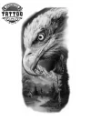image tatouage éphémère aigle ailes majestueuses peau image tatouage éphémère aigle ailes majestueuses peau