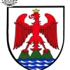 tatouage-ephemere-aigle-ailes-majestueuses-image-alt tatouage-ephemere-aigle-ailes-majestueuses-image-alt