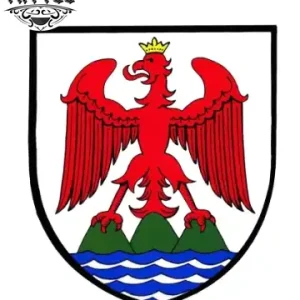 tatouage-ephemere-aigle-ailes-majestueuses-image-alt tatouage-ephemere-aigle-ailes-majestueuses-image-alt