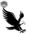 tatouage-ephemere-aigle-realiste-majesteux-aile-temporaires-design tatouage-ephemere-aigle-realiste-majesteux-aile-temporaires-design