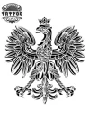 Tatouage AIGLE éphémère polonais design intense réaliste Tatouage AIGLE éphémère polonais design intense réaliste