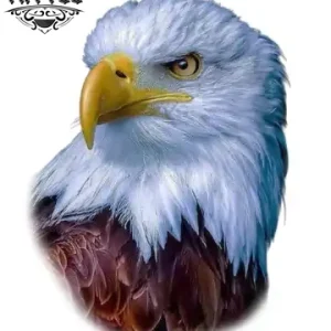 tatouage-ephemere-aigle-ailes-majestueuses tatouage-ephemere-aigle-ailes-majestueuses