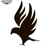 tatouage-ephemere-aigle-aux-ailes-majestueuses-tatouage-aigle tatouage-ephemere-aigle-aux-ailes-majestueuses-tatouage-aigle