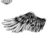 tatouage ephémère ailes de colombe design unique et symbolique tatouage ailes