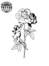 tatouage-ephemere-ange-rose-design-elegant tatouage-ephemere-ange-rose-design-elegant