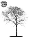tatouage ephemere arbre bouleau naturel tatouage arbre