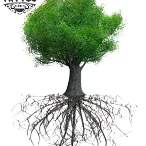 tatouage-arbre-ephemere-arbre-de-vie-realiste-design-nature-efficace tatouage-arbre-ephemere-arbre-de-vie-realiste-design-nature-efficace