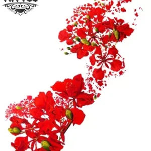 tatouage ephemere arbre flamboyant design temporaire nature tatouage arbre tatouage ephemere arbre flamboyant design temporaire nature tatouage arbre