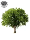 tatouage-ephemere-arbre-nature-design-unique tatouage-ephemere-arbre-nature-design-unique