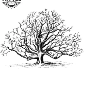 tatouage ephemere arbre noyer design naturel temporaire tatouage arbre tatouage ephemere arbre noyer design naturel temporaire tatouage arbre