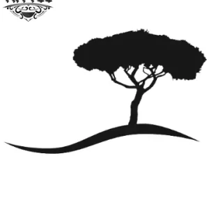 tatouage-ephemere-arbre-pin-design-naturel tatouage-ephemere-arbre-pin-design-naturel