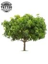 tatouage-ephemere-arbre-realiste-nature-temporary-tattoo tatouage-ephemere-arbre-realiste-nature-temporary-tattoo