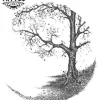 tatouage ephemere arbre rond design naturel tatouage arbre tatouage ephemere arbre rond design naturel tatouage arbre
