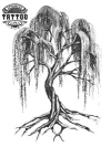 tatouage-ephemere-arbre-saule-pleureur-durable-realiste-tatouage-arbre