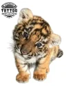 tatouage-ephemere-bebe-tigre-design-temporaires-tatouage-tigre tatouage-ephemere-bebe-tigre-design-temporaires-tatouage-tigre