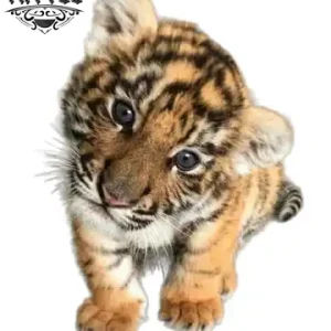 tatouage-ephemere-bebe-tigre-design-temporaires-tatouage-tigre tatouage-ephemere-bebe-tigre-design-temporaires-tatouage-tigre