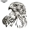 tatouage-ephemere-oiseau-buse-design-realiste-tatouage-oiseau tatouage-ephemere-oiseau-buse-design-realiste-tatouage-oiseau