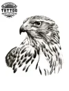 tatouage-ephemere-oiseau-buse-design-realiste-tatouage-oiseau tatouage-ephemere-oiseau-buse-design-realiste-tatouage-oiseau