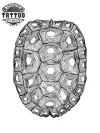 tatouage-ephemere-tortue-design-carapace