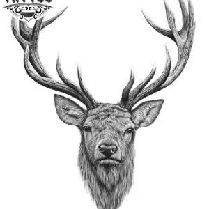 tatouage-ephemere-cerf-majestueux-art-corporel-temporaire tatouage-ephemere-cerf-majestueux-art-corporel-temporaire