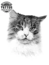 tatouage-ephemere-chat-style-adorable-original tatouage-ephemere-chat-style-adorable-original
