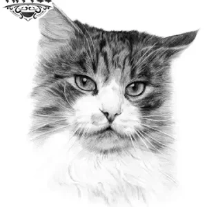 tatouage-ephemere-chat-style-adorable-original tatouage-ephemere-chat-style-adorable-original