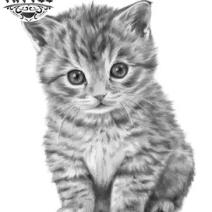 tatouage-ephemere-chat-bebe-mignon tatouage-ephemere-chat-bebe-mignon
