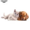 tatouage-ephemere-chat-chien-duo-animaux-tendance