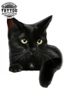 tatouage-ephemere-chat-noir-realiste-accessoire-temporaire-style-felin tatouage-ephemere-chat-noir-realiste-accessoire-temporaire-style-felin
