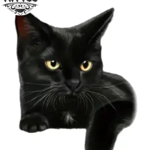 tatouage-ephemere-chat-noir-realiste-accessoire-temporaire-style-felin tatouage-ephemere-chat-noir-realiste-accessoire-temporaire-style-felin