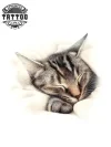 tatouage-ephemere-chat-qui-dort-adorable-amoureux-felins tatouage-ephemere-chat-qui-dort-adorable-amoureux-felins