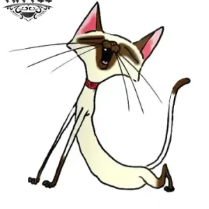 tatouage-ephemere-chat-qui-setire-design-felin-temporary-tattoo tatouage-ephemere-chat-qui-setire-design-felin-temporary-tattoo