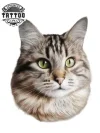 tatouage-chat-realiste-temporaire-haut-de-gamme-tatouage-ephemere tatouage-chat-realiste-temporaire-haut-de-gamme-tatouage-ephemere