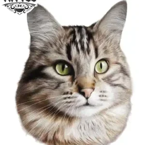 tatouage-chat-realiste-temporaire-haut-de-gamme-tatouage-ephemere tatouage-chat-realiste-temporaire-haut-de-gamme-tatouage-ephemere