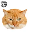 tatouage-ephemere-chat-roux-sur-peau-image-produi tatouage-ephemere-chat-roux-sur-peau-image-produi